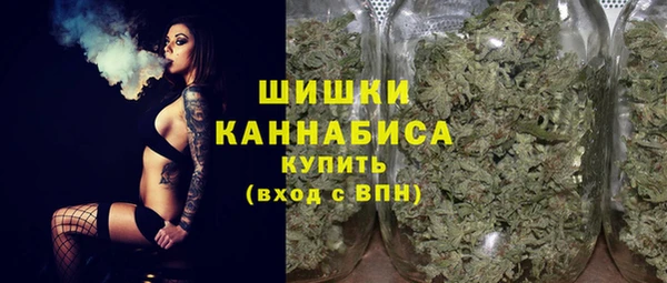 PSILOCYBIN Армянск