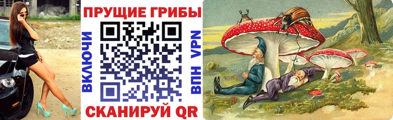 Псилоцибиновые грибы GOLDEN TEACHER  Купить  Борзя 